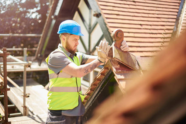 Best Roof Gutter Cleaning  in Dandridge, TN